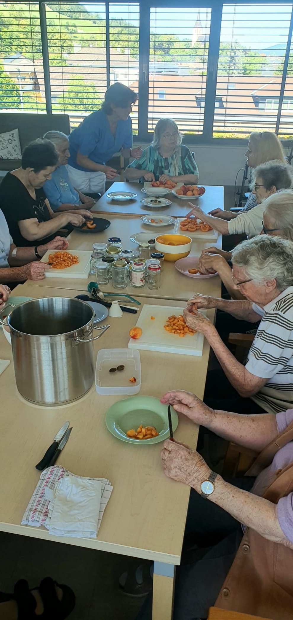 Marmelade einkochen 2025