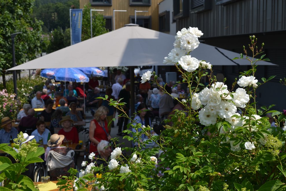 Rose im Vordergrund