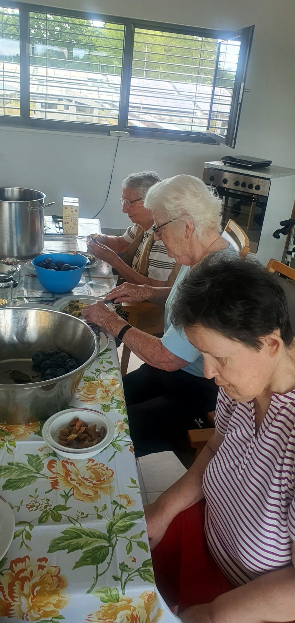 Marmelade einkochen (22.07.25)