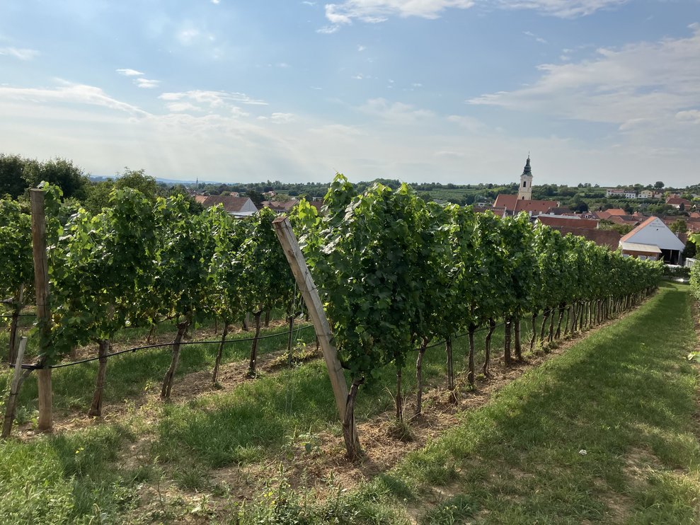 Ehrenamts-Ausflug Loisium Langenlois 2025