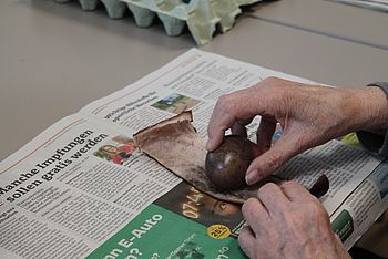 Eier färben 2025
